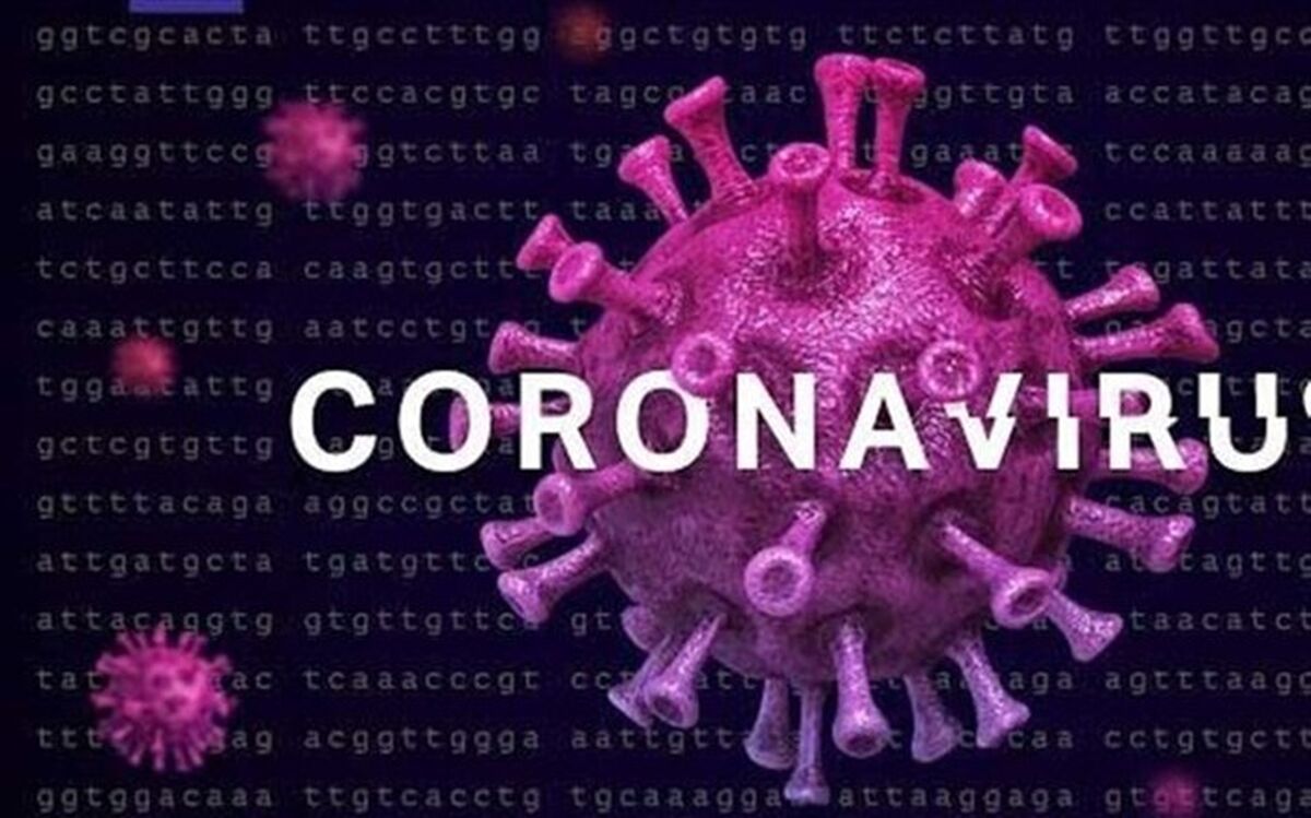 احتمال آلودگی «مو» به کرونا چقدر است؟