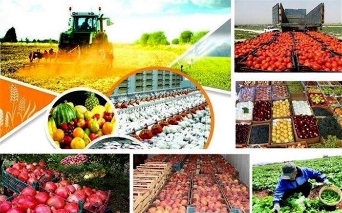 تشکیل ستاد تنظیم بازار در حوزه نهاده‌های دامی در وزارت جهاد