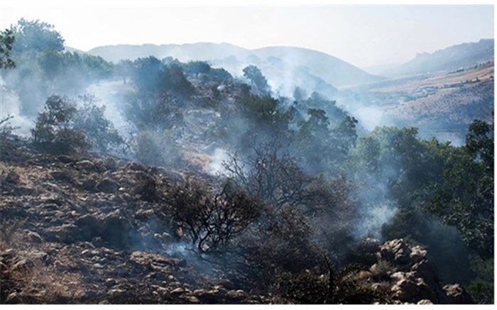 آتش‌سوزی جنگل‌های گچساران مهار شد