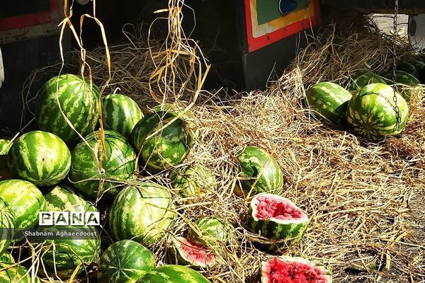 آغاز فصل گرما و رونق فروش هندوانه