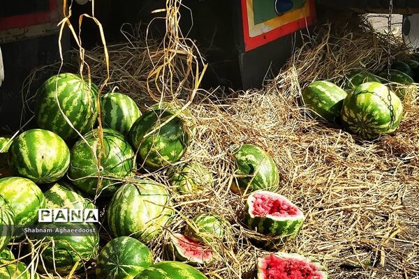 آغاز فصل گرما و رونق فروش هندوانه