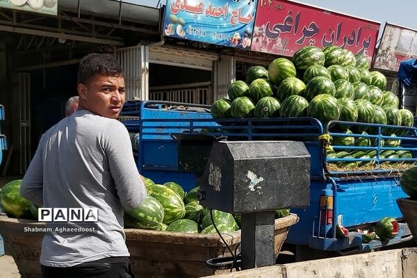 آغاز فصل گرما و رونق فروش هندوانه