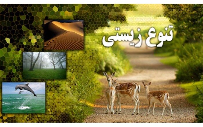 شعار روز جهانی محیط زیست با محوریت «تنوع ریستی»