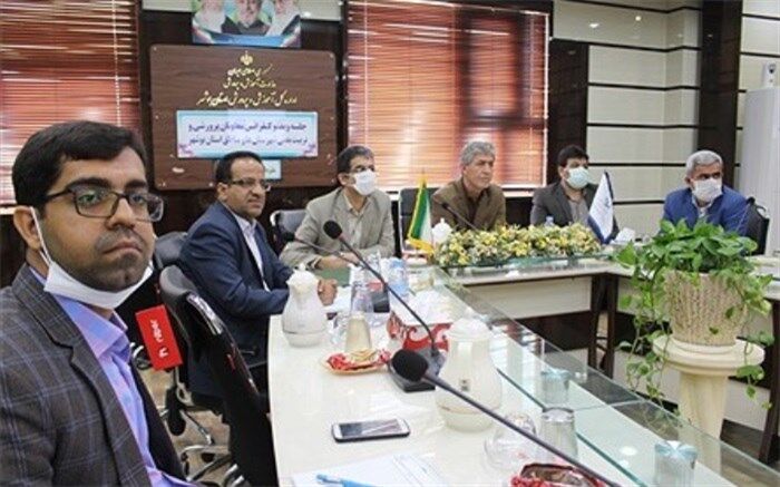 با راه اندازی شبکه شاد شرایط مناسبی برای ارائه محتوای پرورشی و فرهنگی ایجاد شده است
