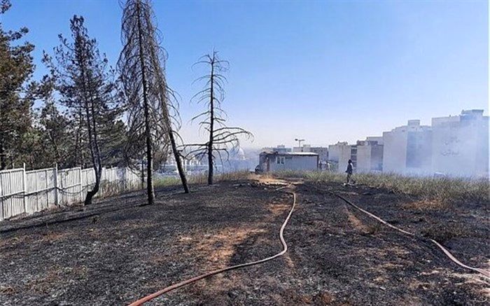 آتش سوزی در جنگل افرا؛ تکذیب سوختن ۲ هکتار