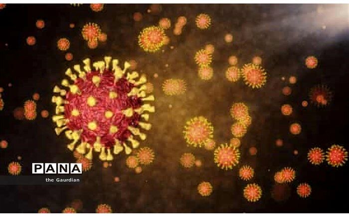 شناسایی  ۷۸۲مورد جدید مبتلا به کرونا ویروس  در خوزستان