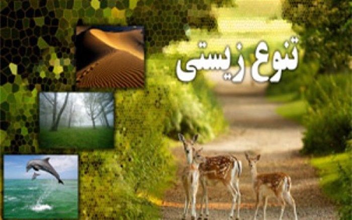 کرونا را  ناجی محیط زیست ندانیم