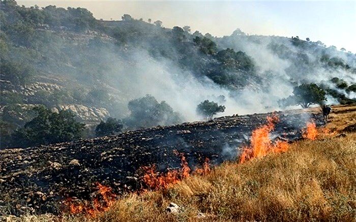 سوختن زاگرس چگونه زندگی ما را تهدید می‌کند؟+ویدئو