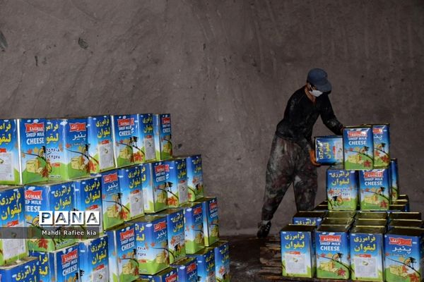 بازدید سازمان جهاد کشاورزى از نگهدارى و تولید پنیر لیقوان