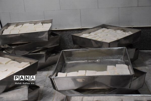 بازدید سازمان جهاد کشاورزى از نگهدارى و تولید پنیر لیقوان