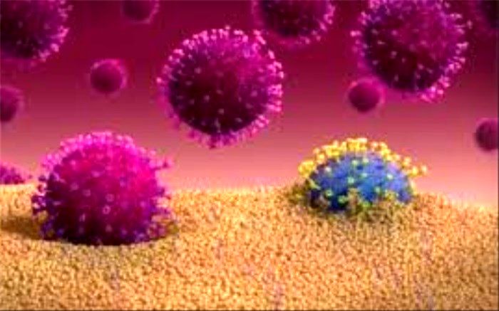 اثرات ظهور گونه‌های جدید جهش‌یافته ویروس کرونا+اینفوگرافیک