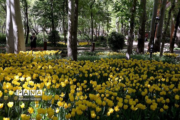 باغ ایرانی، بهشتی برای پایتخت نشینان