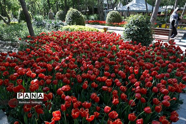 باغ ایرانی، بهشتی برای پایتخت نشینان