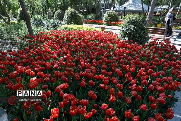 باغ ایرانی، بهشتی برای پایتخت نشینان