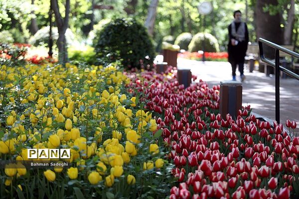 باغ ایرانی، بهشتی برای پایتخت نشینان