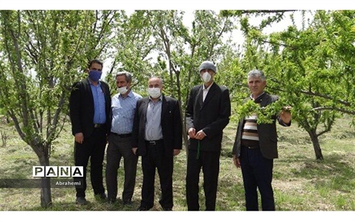 خیر فرهنگی شیروانی یک قطعه باغ سر درختی به آموزش و پرورش شیروان اهدا کرد