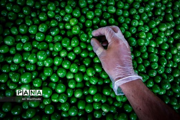 فاصله‌گذاری اجتماعی هوشمند  در بازار میوه تره بار