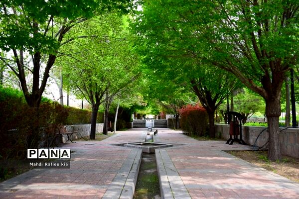 جلوه زیباى بهار در تبریز