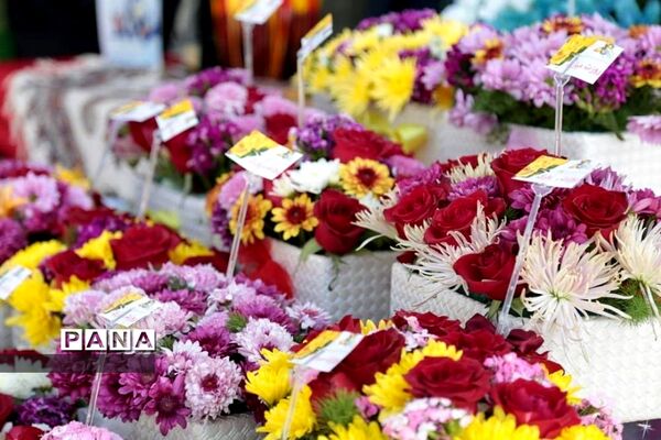 مراسم تجلیل از معلمان نمونه ناحیه2 شهرکرد