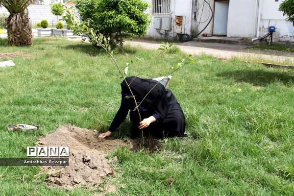 کاشت نهال به نیابت شهدای خان‌طومان در محمودآباد
