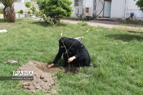 کاشت نهال به نیابت شهدای خان‌طومان در محمودآباد