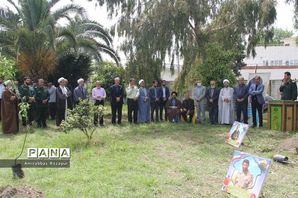 کاشت نهال به نیابت شهدای خان‌طومان در محمودآباد