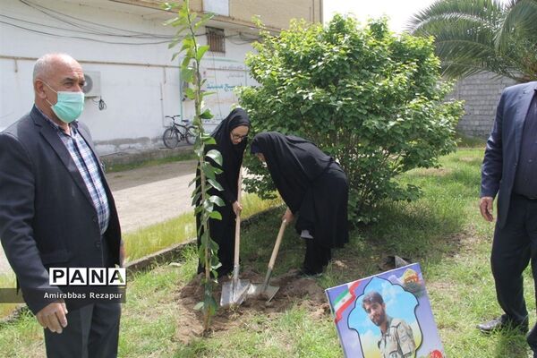 کاشت نهال به نیابت شهدای خان‌طومان در محمودآباد