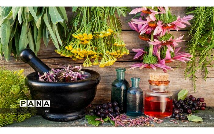 طرح جامع گیاهان دارویی لرستان تهیه شد
