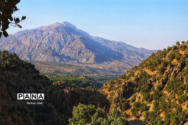 تنگ دم اسب