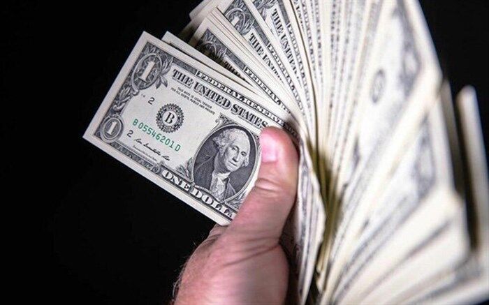 دولت اگر بخواهد می‌تواند قیمت ارز را کنترل کند