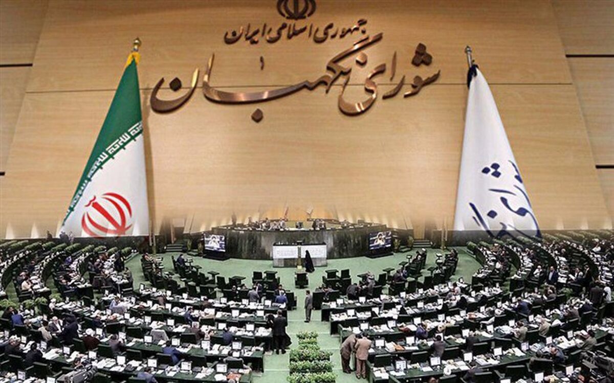 در جلسه مجلس  و شورای نگهبان درباره «اعتبارنامه» تاجگردون چه گذشت؟