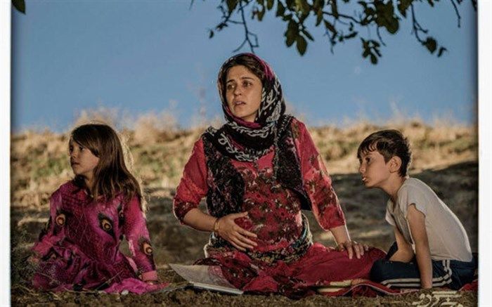 نمایش عکس‌های «درخت گردو» همزمان با سالگرد بمباران شیمیایی سردشت