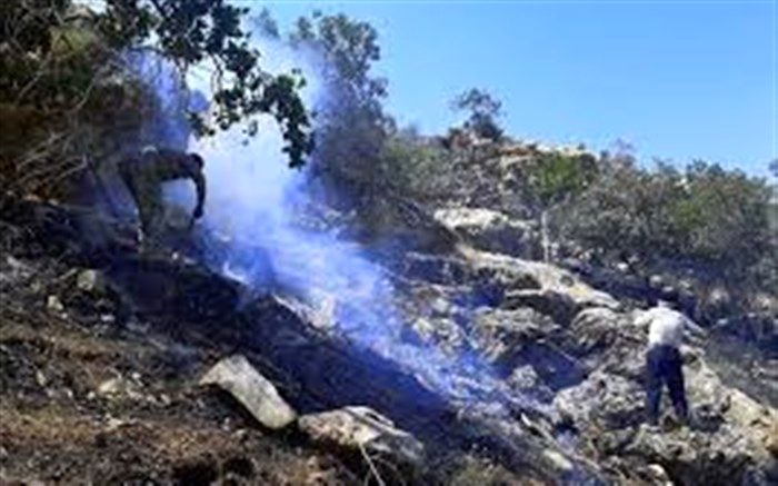 مهار آتش سوزی مراتع  و جنگل های بخش لوداب شهرستان بویراحمد