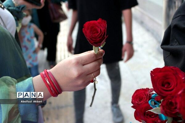 اهدای شاخه گل بین دختران خردسال در شهر ساری به مناسبت دهه کرامت
