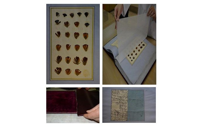 دست نوشته‌های دوران قاجار در سازمان اسناد و کتابخانه ملی ایران بازسازی شد