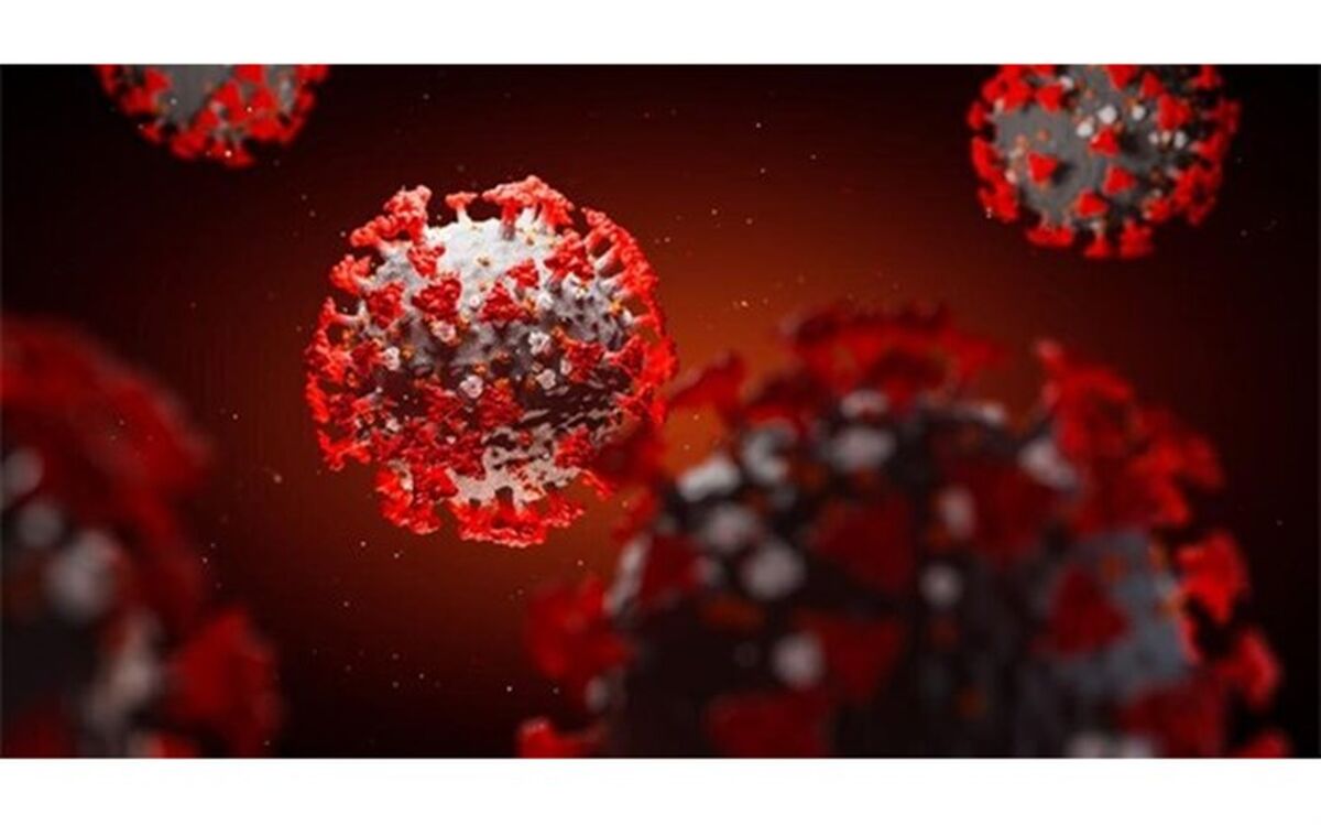 آمار مبتلایان به کرونا در امریکا از مرز 2.5 میلیون نفر گذشت