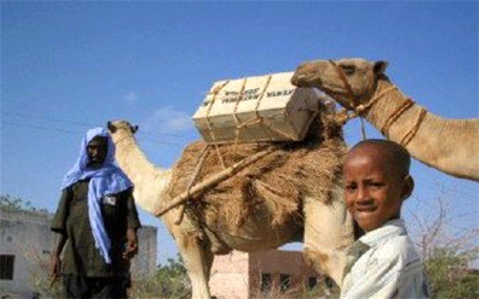 کتابخانه‌های شتری حامی دانش‌آموزان اتیوپیایی در تعطیلات کرونا