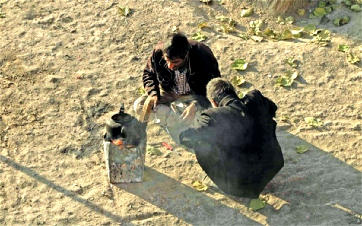 مصرف مخدرهای چندگانه آمار مرگ معتادان را بالا برده است
