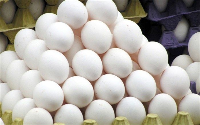 بیش از ۲۷۲۲ تن تخم مرغ از البرز به کشورهای همسایه صادر شد