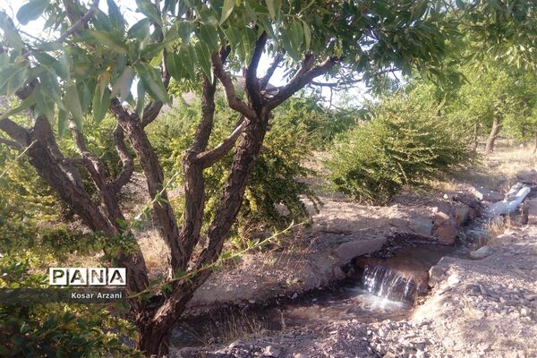 آبیاری مزارع روستا تقوک