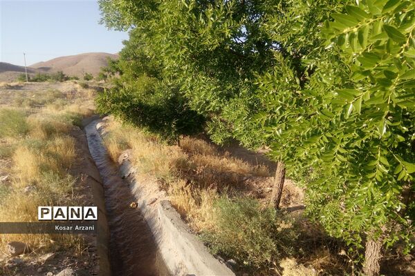 آبیاری مزارع روستا تقوک