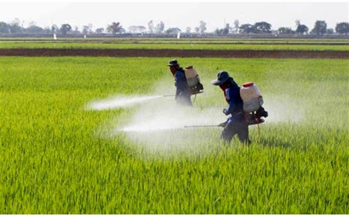 مصرف بی رویه سم در کشور به حداقل رسید