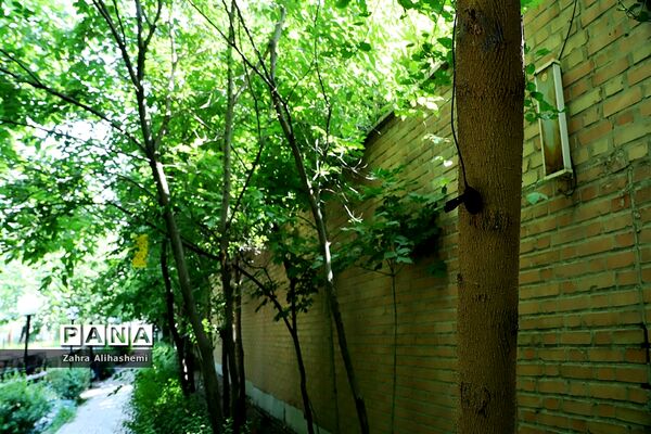 تولید محتوای سازمان دانش آموزی شهر تهران در منطقه 14