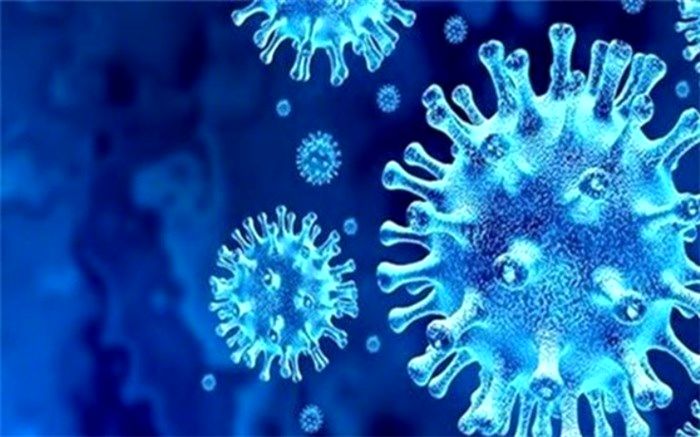 یکه تازی کرونا در فردیس پرجمعیت