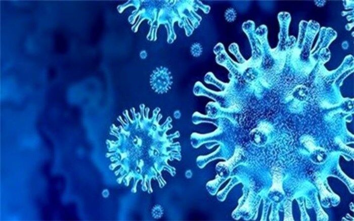 یکه تازی کرونا در فردیس پرجمعیت