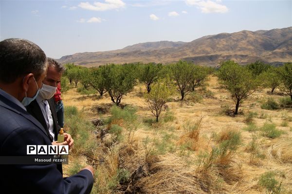 بازدید معاون پرورشی و فرهنگی اداره‌کل از کانون‌ها، دارالقرآن و پروژه‌های عمرانی منطقه میانه