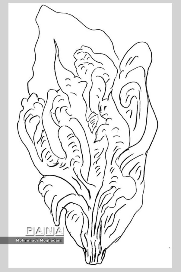 نمایشگاه طراحی و نقاشی افسون نغمه‌ها