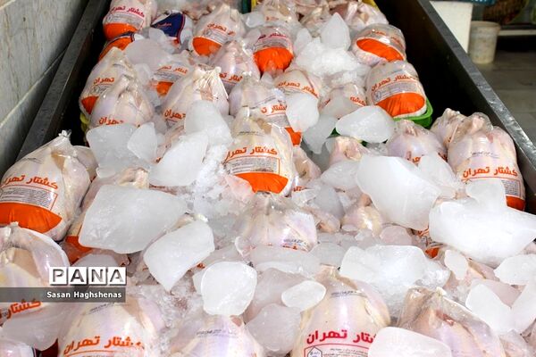 بازدیدمیدانی فرماندار اسلامشهر از واحدهای صنفی شهرستان