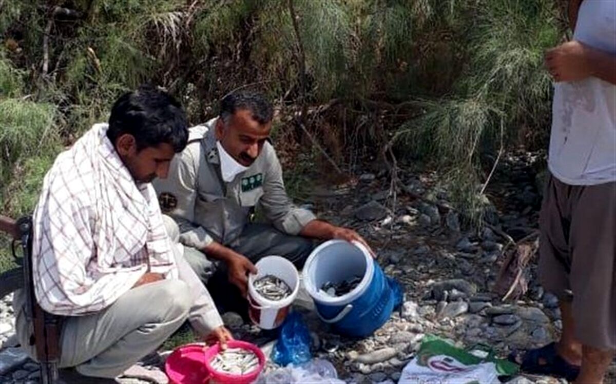 عامل صید با مواد شیمیایی در سیستان و بلوچستان دستگیر شد