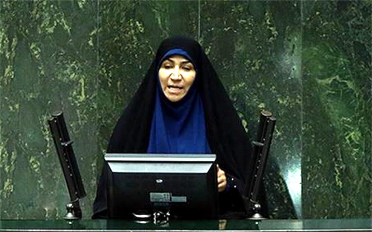 انتقاد چنارانی از نگاه جنسیتی در انتخاب دبیران کمیسیون‌های مجلس
